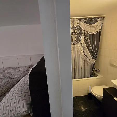 Apartamento Real Swiss Classic & Up To 7 Seats Cars Option Berna